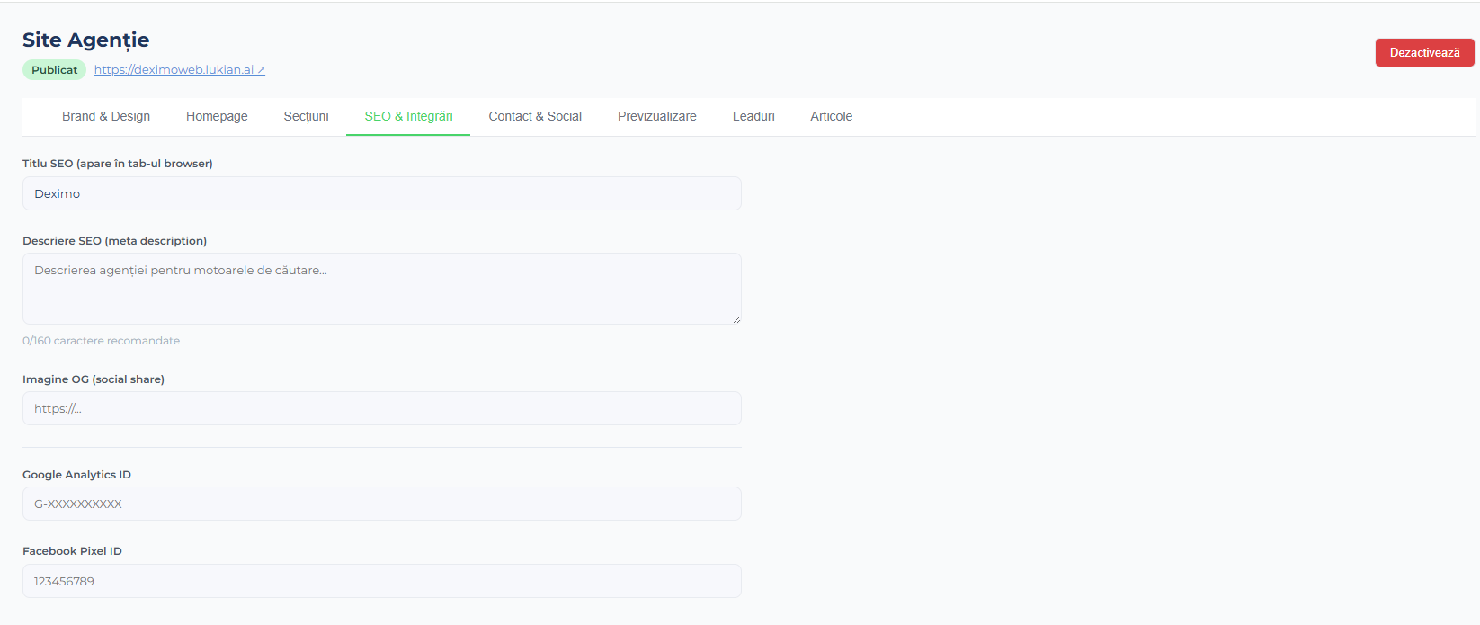 SEO integrat în website agenție