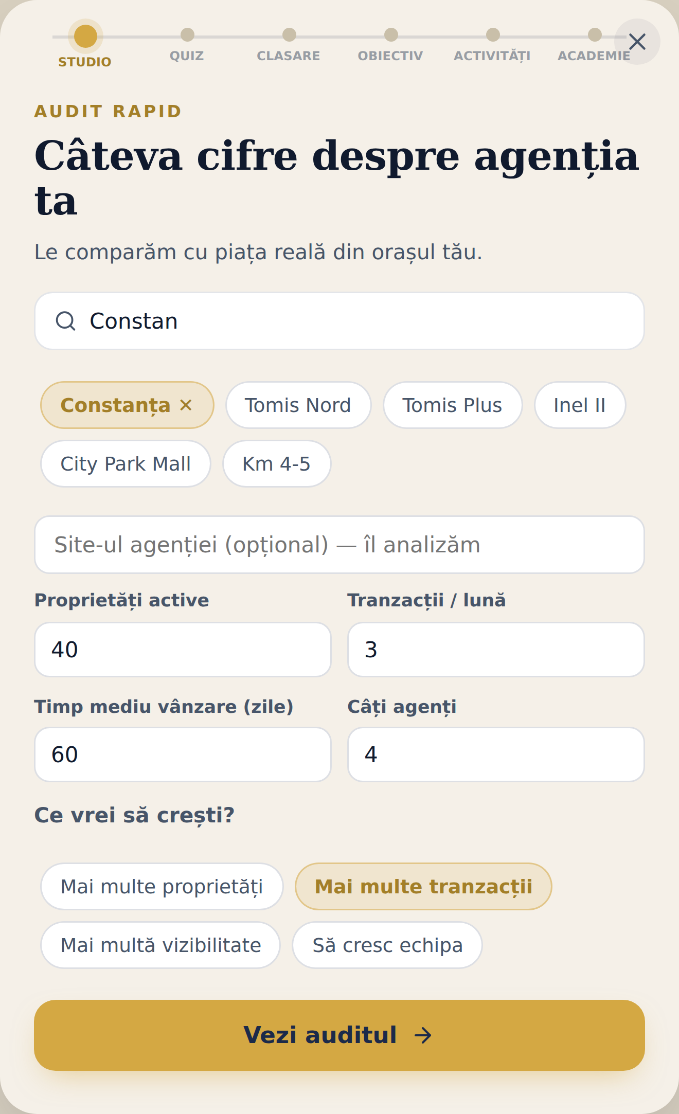 Formularul auditului: oraș, zone, patru cifre și obiectivul